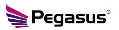 pegasus