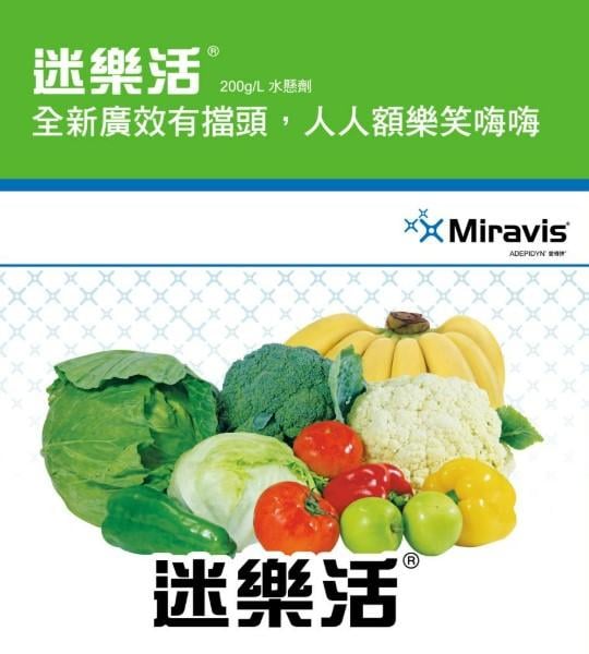 迷樂活