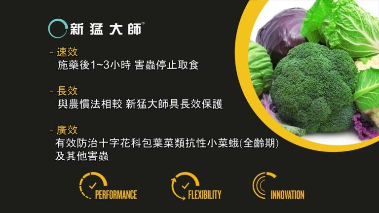 先正達 新猛大師_小菜蛾 葉蟎 薊馬_Syngenta Simodis DBM Thrips Mites