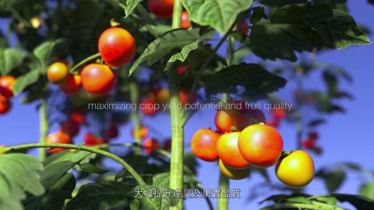 先正達 迷樂活 殺菌劑_Syngenta Miravis MOA