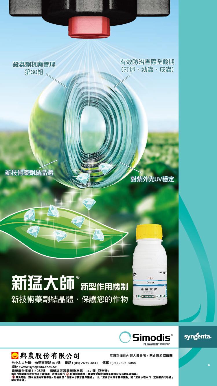 新猛大師新技術結晶DM_ok