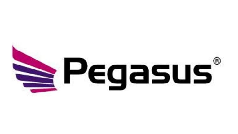 pegasus
